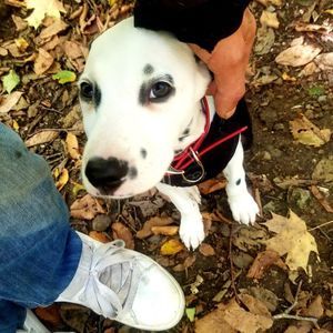 Meet your Posher, James